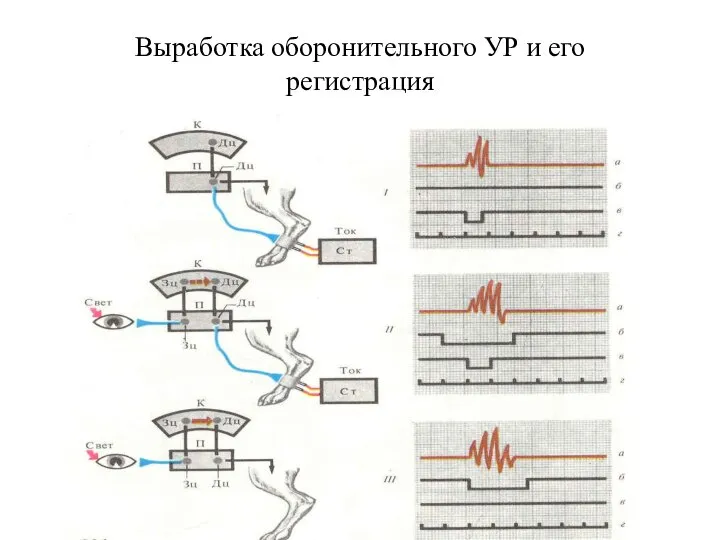 Выработка оборонительного УР и его регистрация