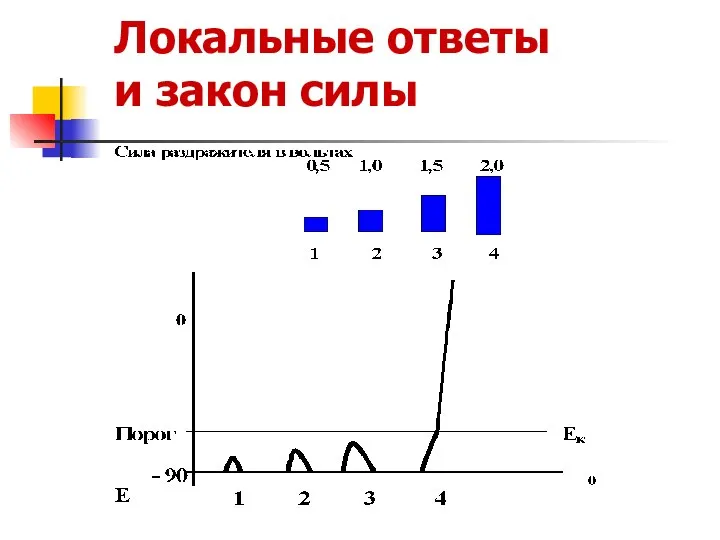 Локальные ответы и закон силы