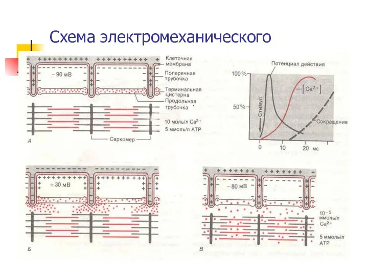 Схема электромеханического сопряжения