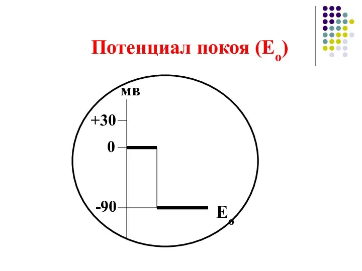 Потенциал покоя (Ео) 0 -90 +30 мв Ео