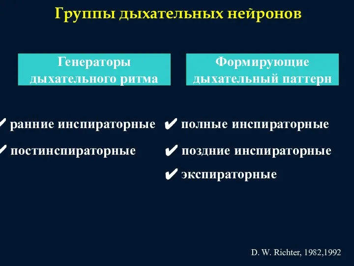 Группы дыхательных нейронов Генераторы дыхательного ритма Формирующие дыхательный паттерн ранние инспираторные