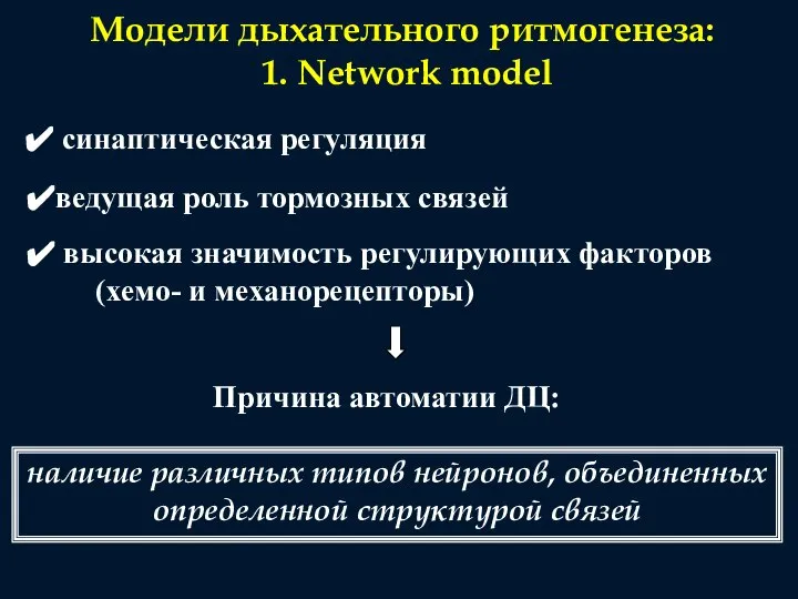 Модели дыхательного ритмогенеза: 1. Network model синаптическая регуляция ведущая роль тормозных