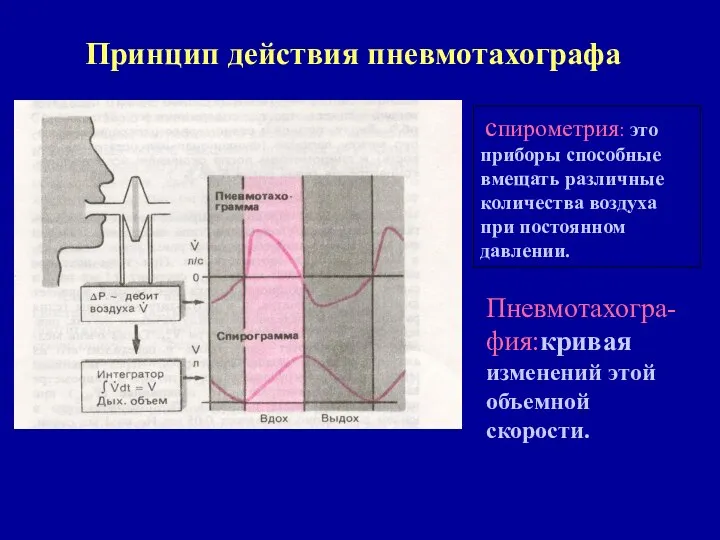 Принцип действия пневмотахографа спирометрия: это приборы способные вмещать различные количества воздуха