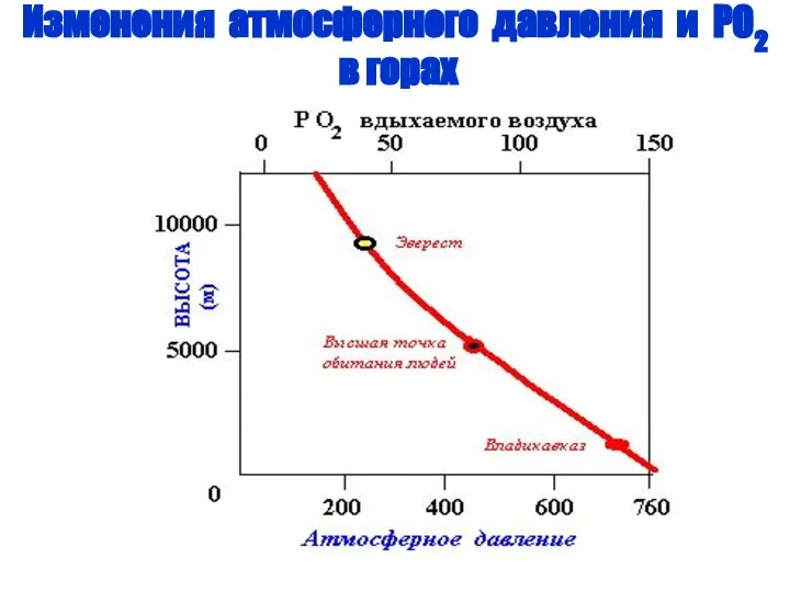 Изменения атмосферного давления и РО2 в горах