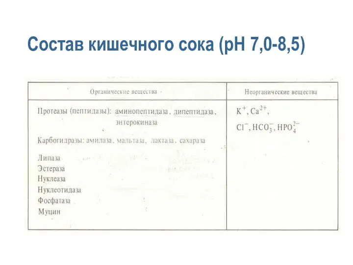 Состав кишечного сока (pH 7,0-8,5)