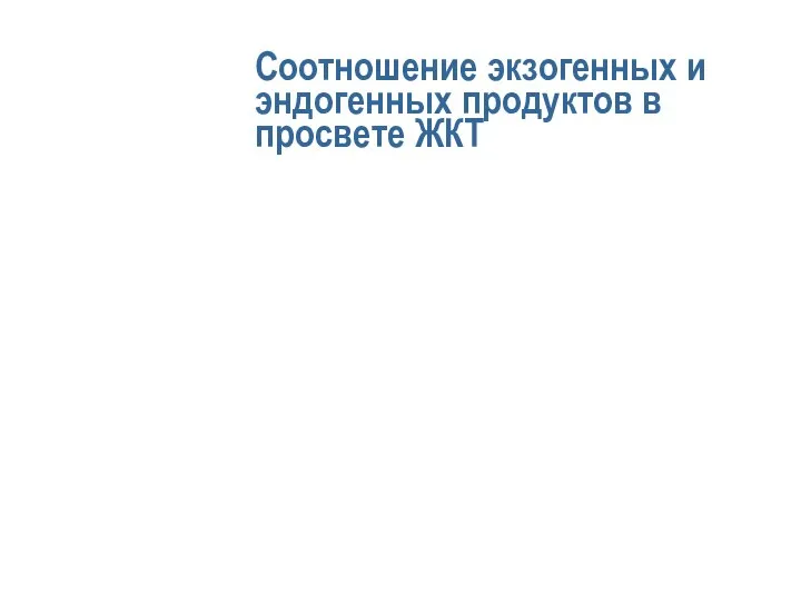 Соотношение экзогенных и эндогенных продуктов в просвете ЖКТ