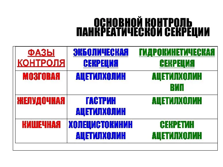 ОСНОВНОЙ КОНТРОЛЬ ПАНКРЕАТИЧЕСКОЙ СЕКРЕЦИИ