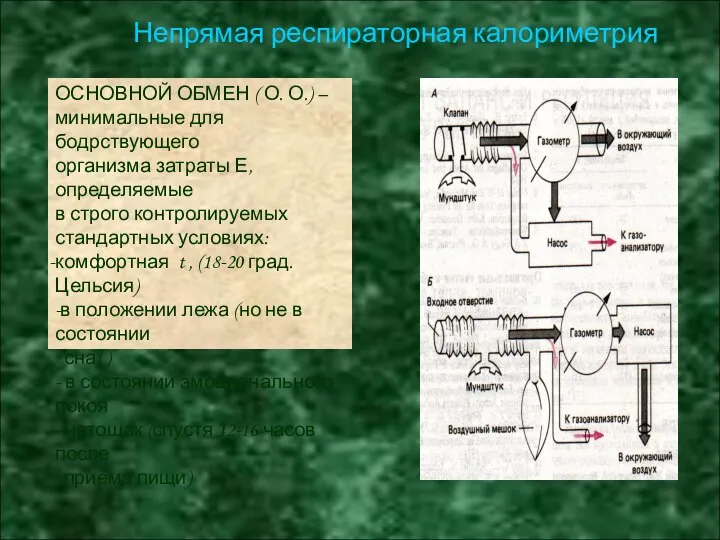 ОСНОВНОЙ ОБМЕН ( О. О.) – минимальные для бодрствующего организма затраты