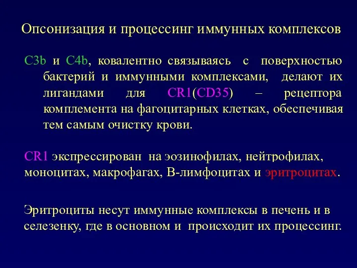 Опсонизация и процессинг иммунных комплексов С3b и С4b, ковалентно связываясь с