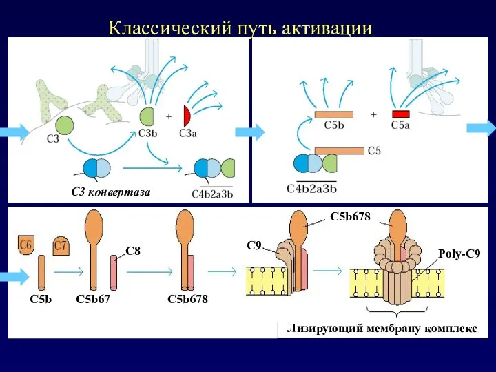 Классический путь активации