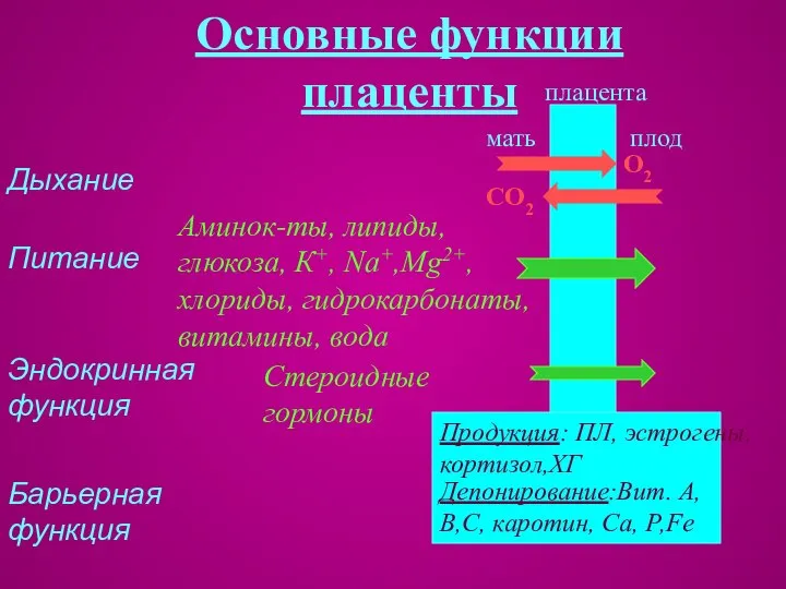 Основные функции плаценты Барьерная функция плод мать Депонирование:Вит. А, В,С, каротин,