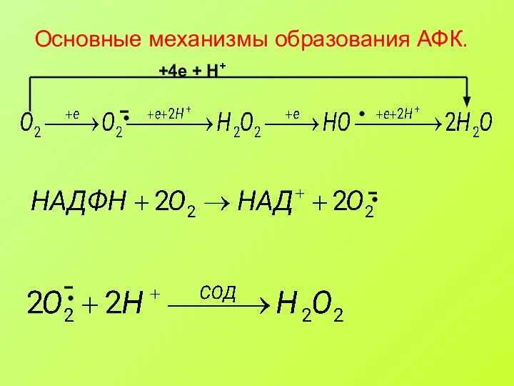 Основные механизмы образования АФК.