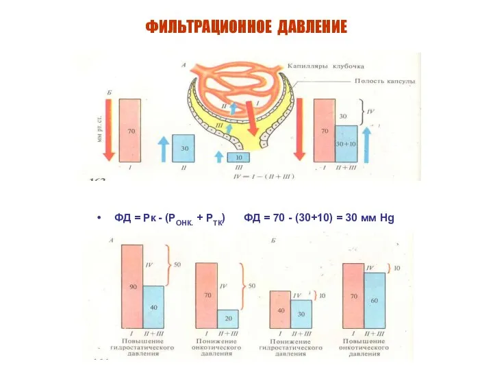 ФИЛЬТРАЦИОННОЕ ДАВЛЕНИЕ ФД = Рк - (РОНК. + РТК) ФД =