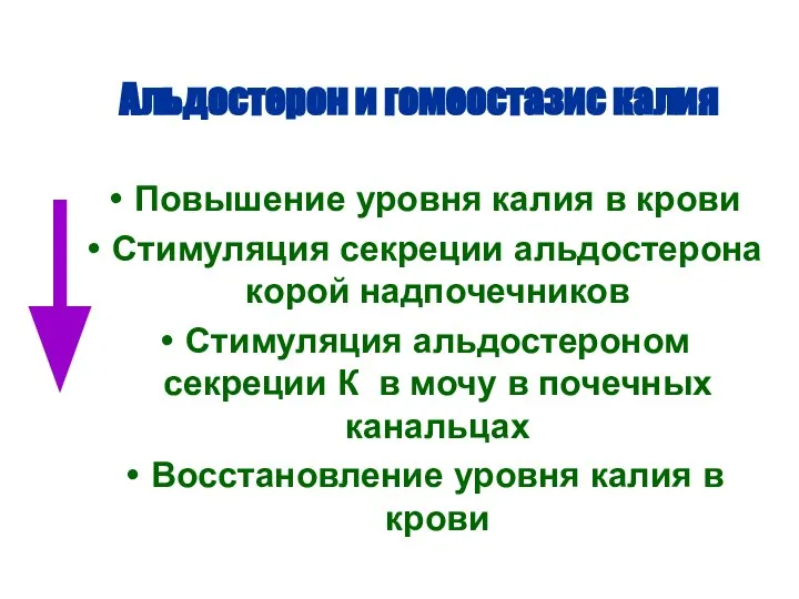 Альдостерон и гомеостазис калия Повышение уровня калия в крови Стимуляция секреции