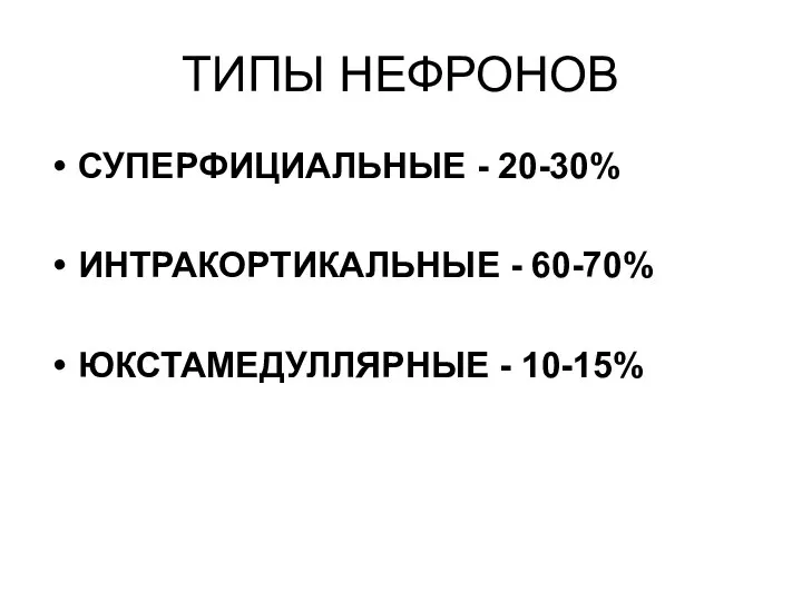 ТИПЫ НЕФРОНОВ СУПЕРФИЦИАЛЬНЫЕ - 20-30% ИНТРАКОРТИКАЛЬНЫЕ - 60-70% ЮКСТАМЕДУЛЛЯРНЫЕ - 10-15%