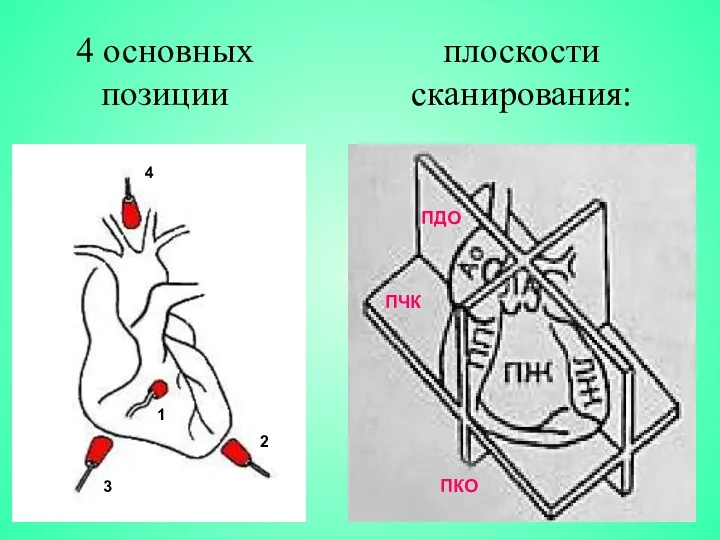 плоскости сканирования: ПДО ПЧК ПКО 4 основных позиции 1 2 3 4