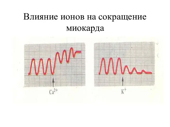 Влияние ионов на сокращение миокарда