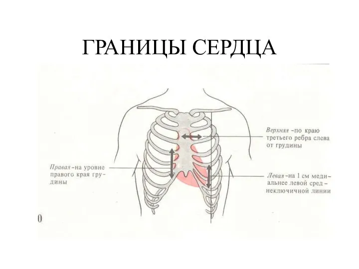 ГРАНИЦЫ СЕРДЦА