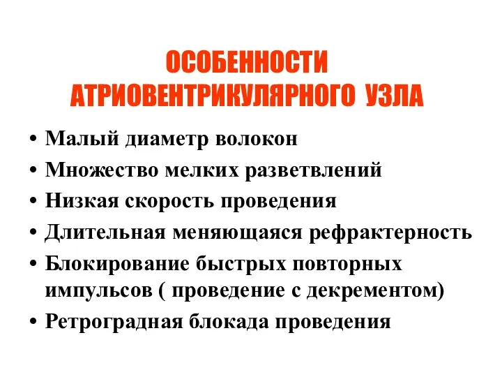 ОСОБЕННОСТИ АТРИОВЕНТРИКУЛЯРНОГО УЗЛА Малый диаметр волокон Множество мелких разветвлений Низкая скорость