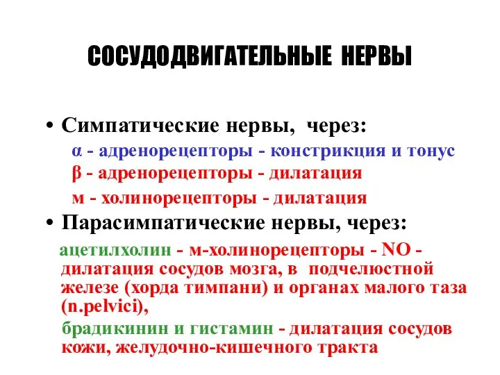 СОСУДОДВИГАТЕЛЬНЫЕ НЕРВЫ Симпатические нервы, через: α - адренорецепторы - констрикция и