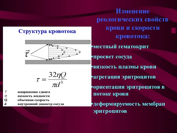 Структура кровотока Изменение реологических свойств крови и скорости кровотока: местный гематокрит