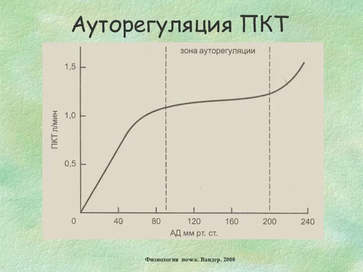 Ауторегуляция ПКТ Физиология почек. Вандер. 2000