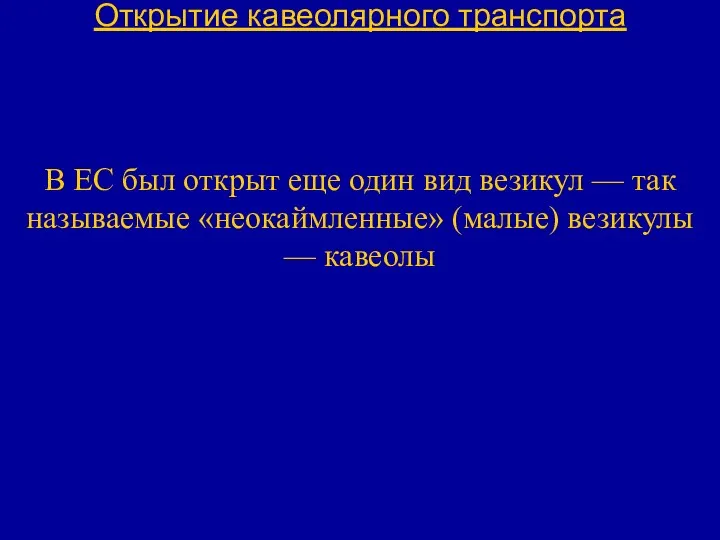 Открытие кавеолярного транспорта В ЕС был открыт еще один вид везикул