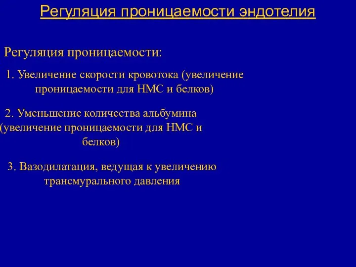 Регуляция проницаемости эндотелия Регуляция проницаемости: 1. Увеличение скорости кровотока (увеличение проницаемости