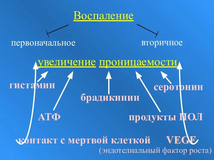 Воспаление первоначальное вторичное увеличение проницаемости гистамин продукты ПОЛ серотонин брадикинин VEGF