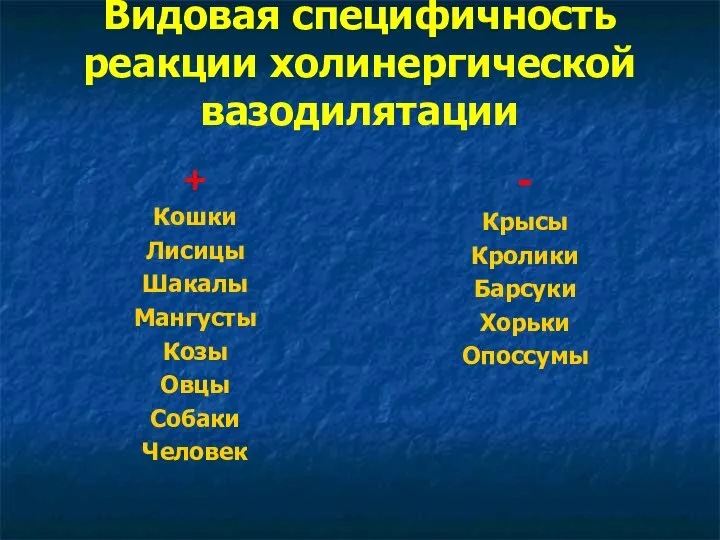 Видовая специфичность реакции холинергической вазодилятации + Кошки Лисицы Шакалы Мангусты Козы