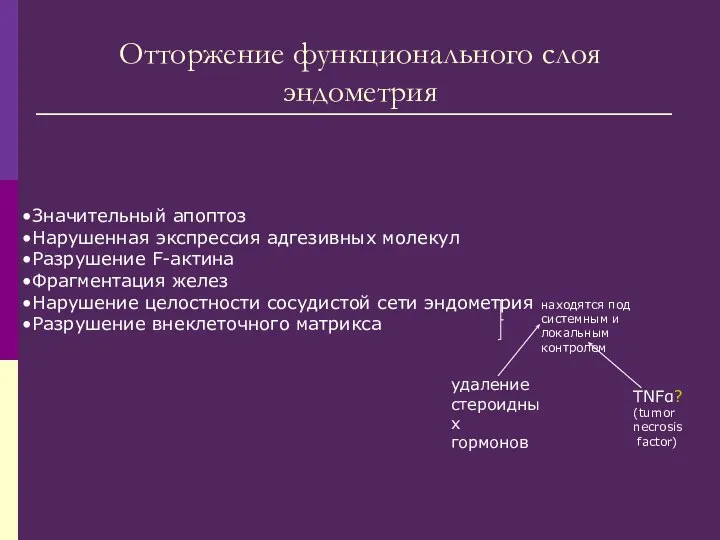 Отторжение функционального слоя эндометрия Значительный апоптоз Нарушенная экспрессия адгезивных молекул Разрушение