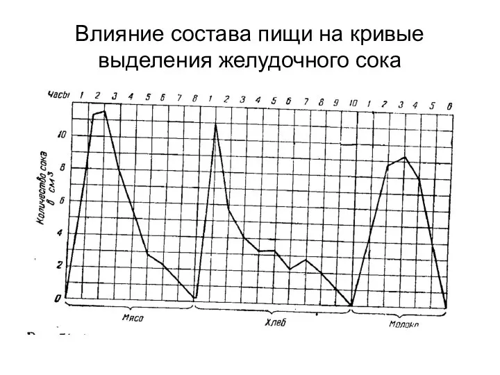 Влияние состава пищи на кривые выделения желудочного сока