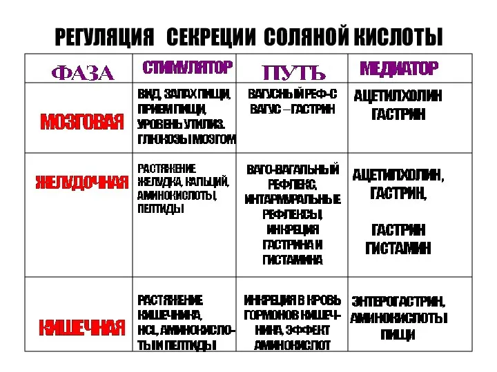 РЕГУЛЯЦИЯ СЕКРЕЦИИ СОЛЯНОЙ КИСЛОТЫ