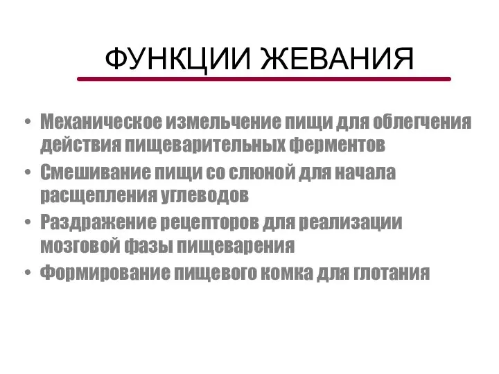 ФУНКЦИИ ЖЕВАНИЯ Механическое измельчение пищи для облегчения действия пищеварительных ферментов Смешивание