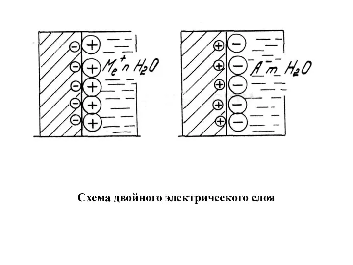 Схема двойного электрического слоя