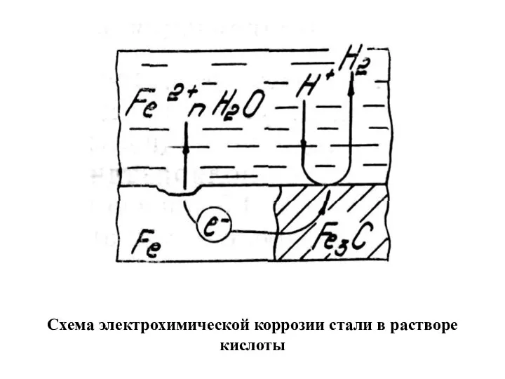 Схема электрохимической коррозии стали в растворе кислоты