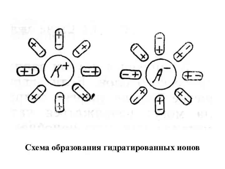 Схема образования гидратированных ионов