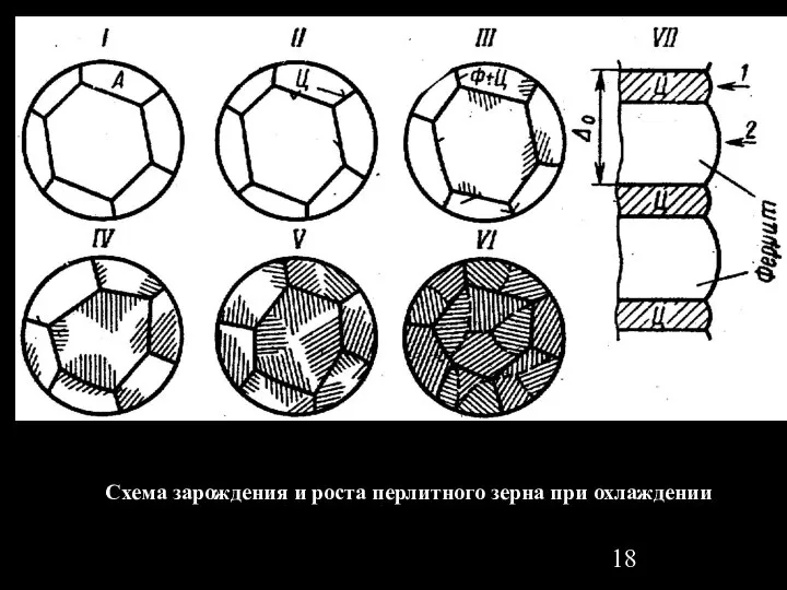 Схема зарождения и роста перлитного зерна при охлаждении