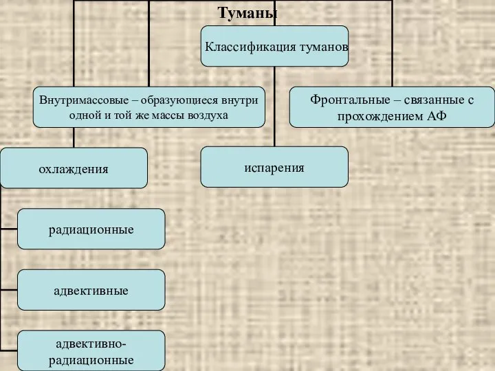 Туманы