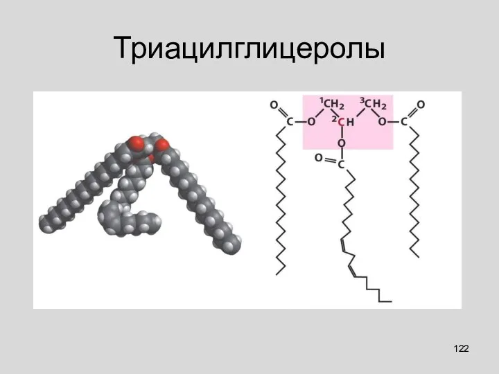 Триацилглицеролы