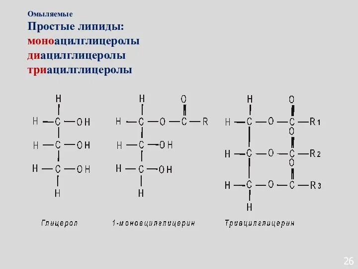 26 Омыляемые Простые липиды: моноацилглицеролы диацилглицеролы триацилглицеролы