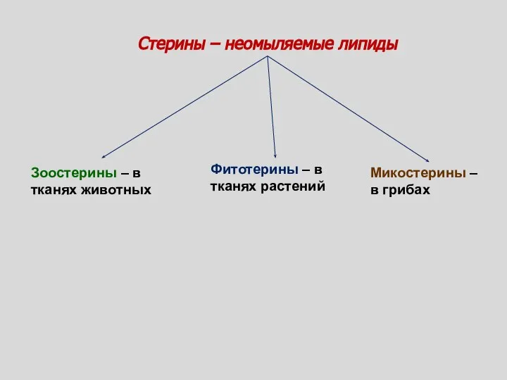 Стерины – неомыляемые липиды Зоостерины – в тканях животных Фитотерины –