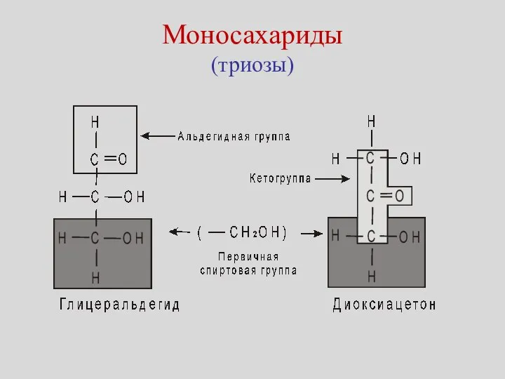 Моносахариды (триозы)