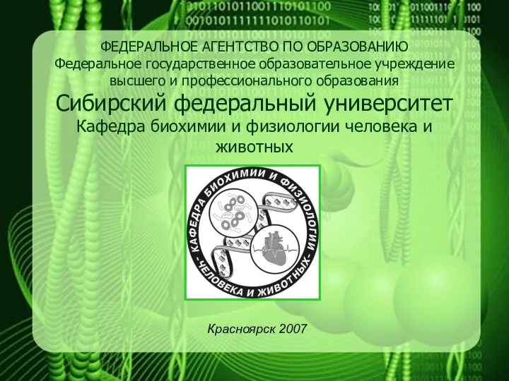 ФЕДЕРАЛЬНОЕ АГЕНТСТВО ПО ОБРАЗОВАНИЮ Федеральное государственное образовательное учреждение высшего и профессионального