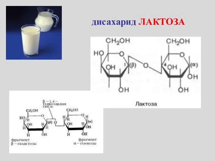 дисахарид ЛАКТОЗА