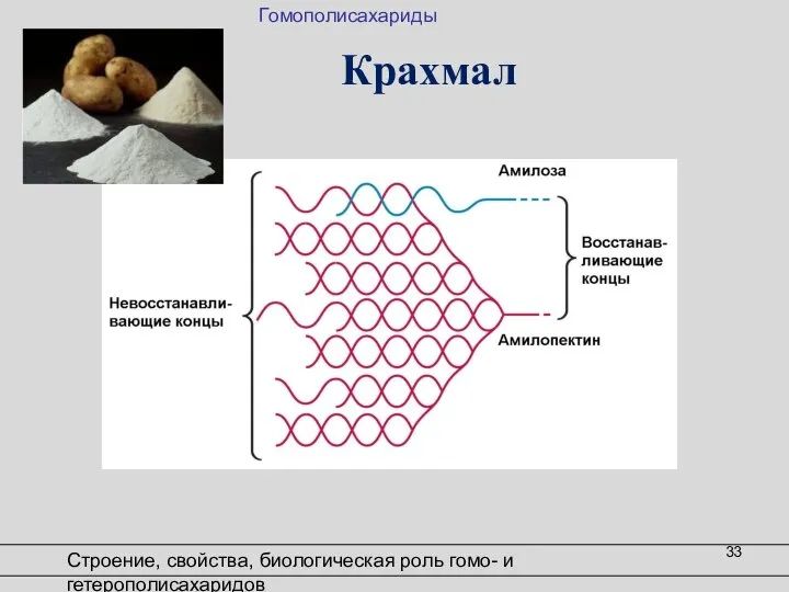 Крахмал Строение, свойства, биологическая роль гомо- и гетерополисахаридов Гомополисахариды