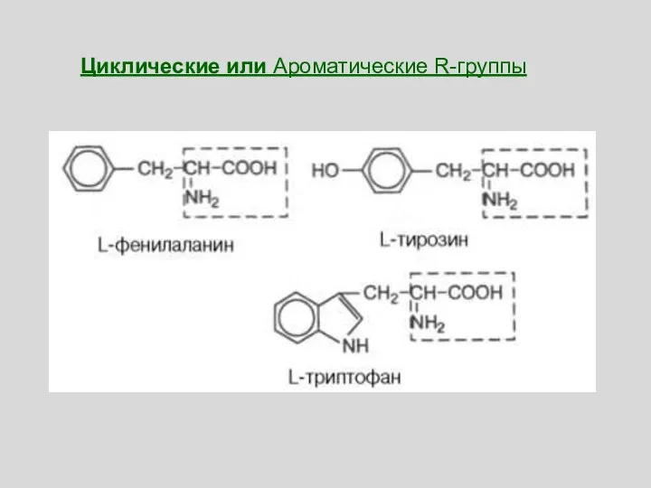 Циклические или Ароматические R-группы