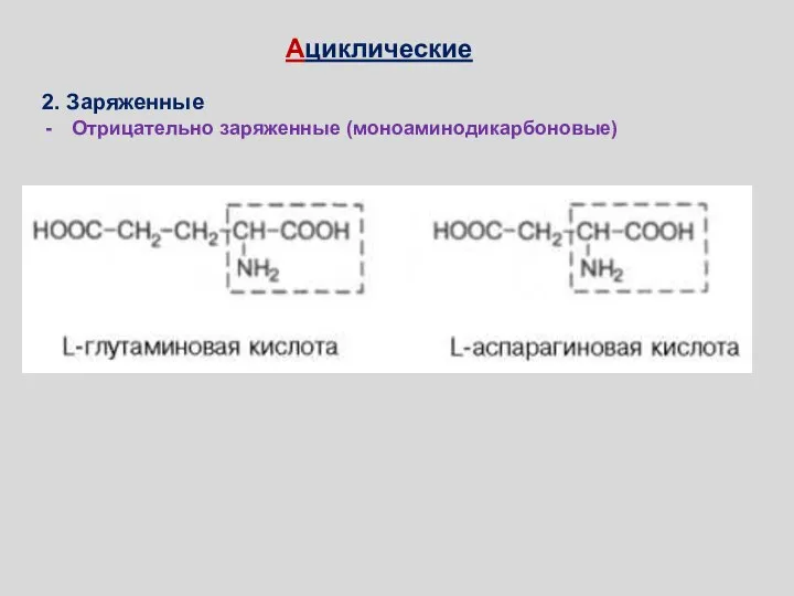 2. Заряженные Отрицательно заряженные (моноаминодикарбоновые) Ациклические