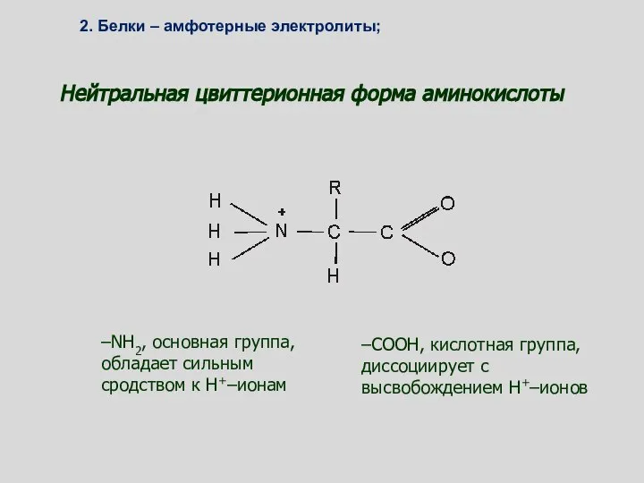 Нейтральная цвиттерионная форма аминокислоты –NH2, основная группа, обладает сильным сродством к