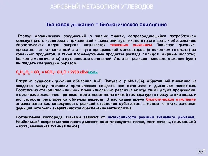 АЭРОБНЫЙ МЕТАБОЛИЗМ УГЛЕВОДОВ 3 35 Тканевое дыхание = биологическое окисление Распад